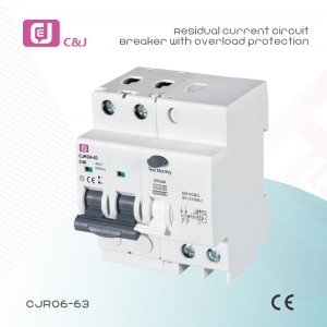 Wholesale price CJRO6-63 2P 6-63A DIN Rail mounting RCBO residual current circuit breaker with overload protection