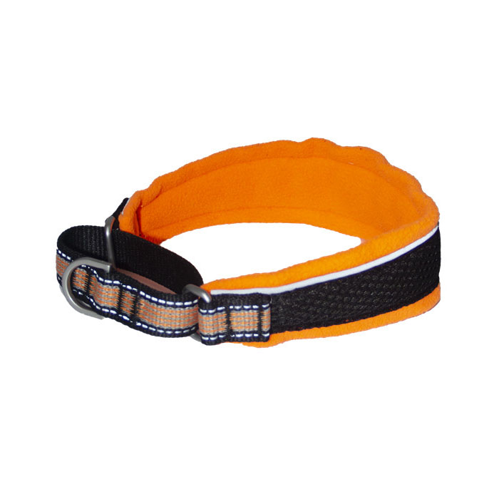 pet products safety gear Dog collar