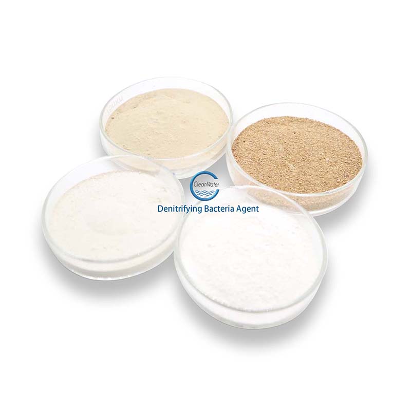 Factory supplied 1kg-20kg/H Industrial Odenitrification bacteria