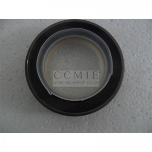 3020185 accessory drive oil seal engine spare parts