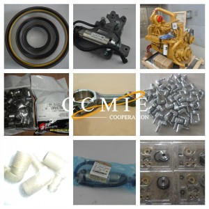 16y-02A-50000 Needle bearing for shantui spare part