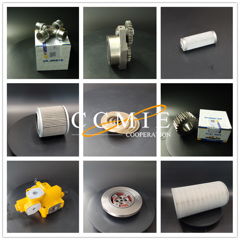 Manufacturer of   Shantui Sd22 Reverse Gear Shaft  - GBT13871-FB190*220*15 Skeleton oil seal – CCMIC
