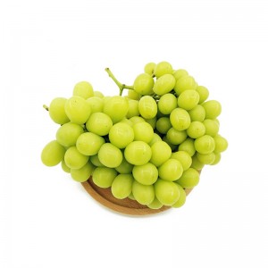 Fresh Shine Muscat Green Grape – Sweet, J...