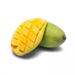 Fresh Mango Fruit – Sweet, Juicy and Multi Efficacy