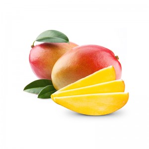 Fresh Mango Fruit – Sweet, Juicy and Multi Efficacy