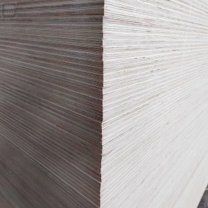 China 12MM Birch Plywood for Subfloor