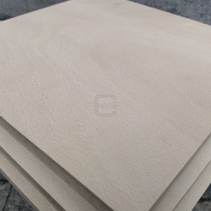Birch Plywood B Grade 2440mm x 1220mm x 18mm