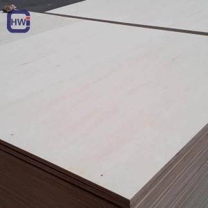High definition Structural Plywood Thickness - HW Oversize Plywood/ Special Plywood – Changyu