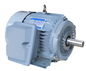 Cast iron NEMA standard two-speed Premium Efficiency motor