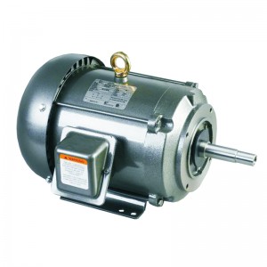 JM Close-Coupled Pump Motor Totally Enclosed 1HP to 10HP 140T to 210T Frame