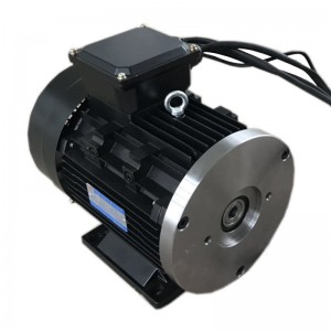 Electric BLDC Brushless DC Motor high torque 48v 2kw with controller