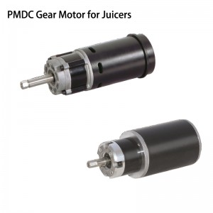 110v 220v high torque electric PMDC gear motor for slow Juicers 67w 20N.m