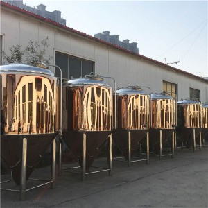 20HL-30HL Brewery Equipment