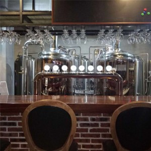 300L Beer Brewing Equipment