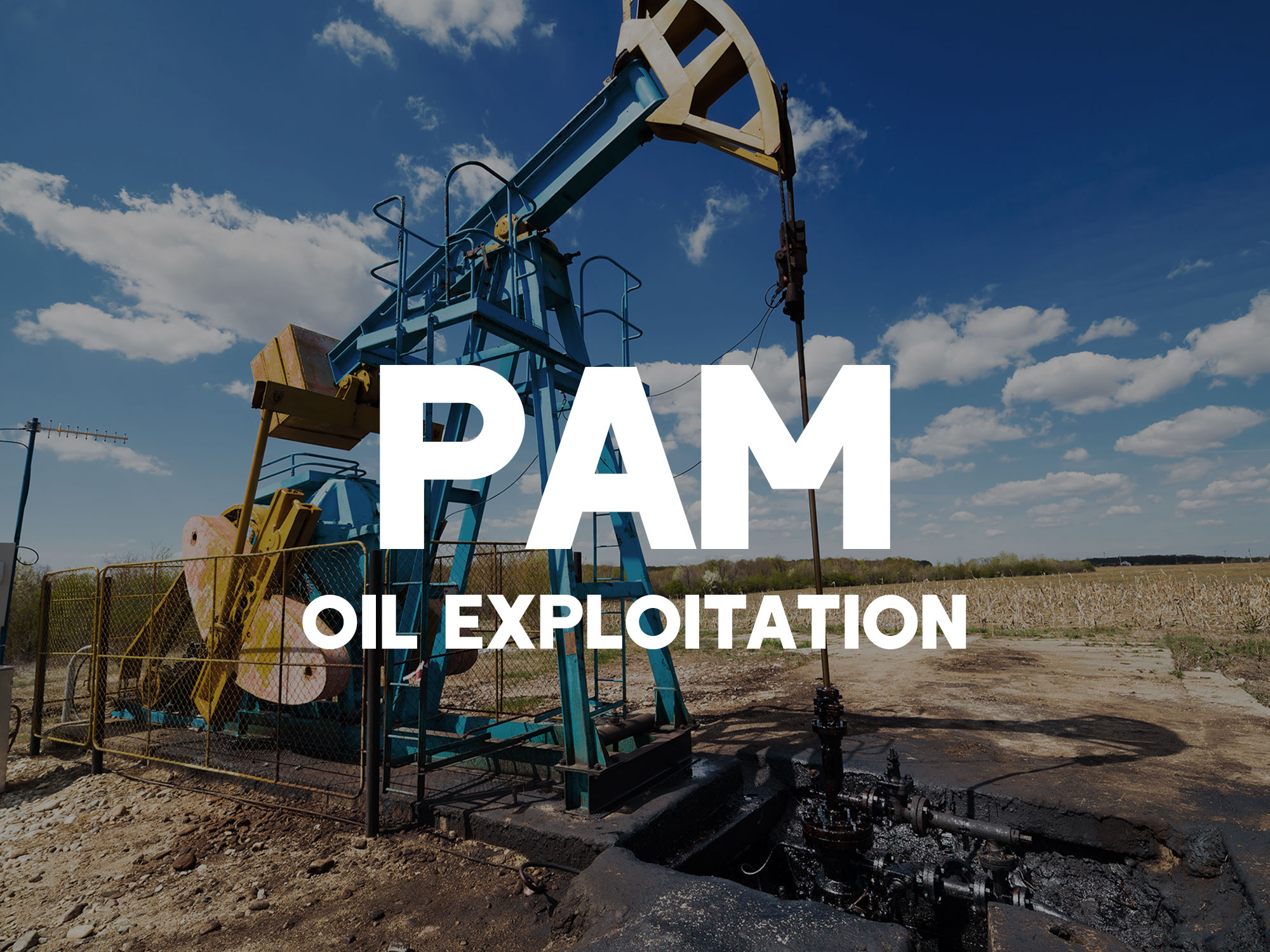 O papel da poliacrilamida industrial na extração de petróleo