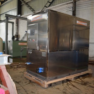 Manufactur standard Ntf Ice Machine - industrial cube ice machine-2T – CENTURY SEA