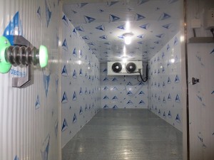 40 feet cold room container for meat chiller and freezer for sale