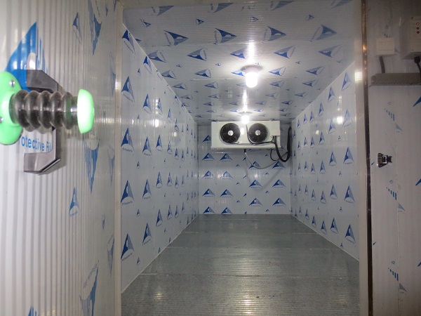 High Quality Cold Room For Sale - 40 feet cold room container for meat chiller and freezer for sale – CENTURY SEA