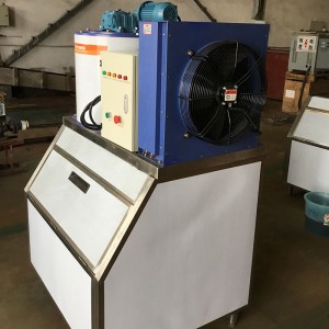 Factory making China Fishery Preservation Industrial Flake Dry Ice Making Machine 0.3t/Day
