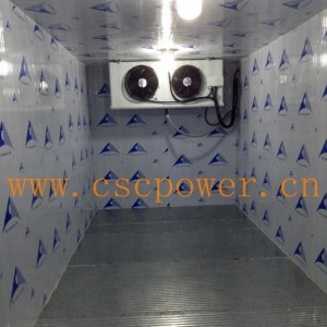 CSCPOWER custom made industrial refrigerator vegetable freezer with hot promotion mini cold room
