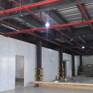 Special Design for China PU Panel Food Cold Storage Room for Chiller and Freezer