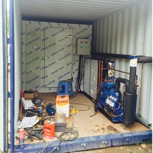 Manufacturer of China Cold Storage Room with Refrigerating Compressor