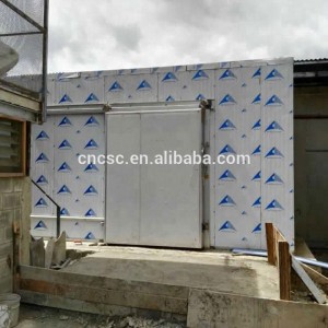 cold room/cold storage dubai for chicken cold storage with hot promotion