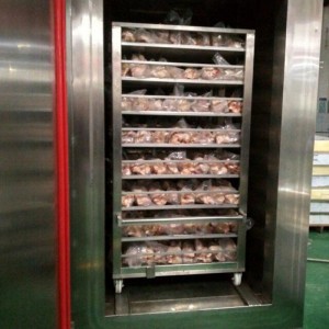 High Quality China 500kg/H IQF Freezer for Food Liquid Nitrogen Blast Freezer