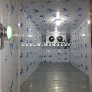 cold room/cold storage dubai for chicken cold storage with hot promotion
