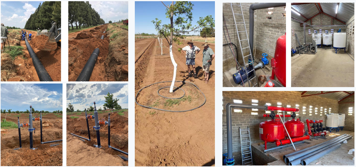 Integrated project of drip irrigation and fixed sprinkler irrigation for Carya cathayensis plantation in South Africa
