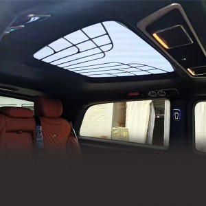 Factory Price Auto Interior Decoration Light Car Ambient Light LED Car Roof Light For Mercedes Benz Vito V-class W447 V250 V260