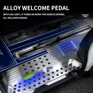 Easy installation Hot sales use for For Honda Elysion stainless steel welcome pedal