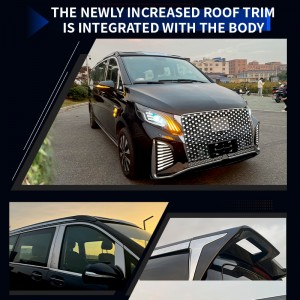 DJZG Luxury Car High apex High roof Car accessories spare parts of For Mercedes Benz V-class Vito W447 V260