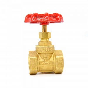 DN20 Brass stop valve