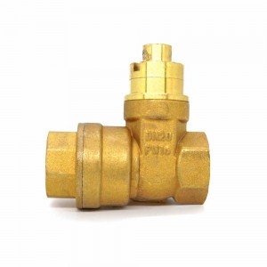 Encrypted brass gate valve, non-returnable, lockable thread