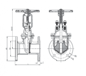 FLANGED RESILIEND OS&Y GATE VALVE – Z41X