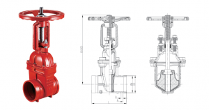 GROOVED RESILIENT OS&Y GATE VALVE – Z81X