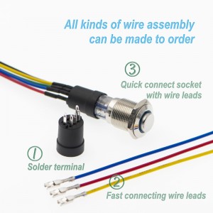 16mm Momentary push button switch with connect(PM162H-11E/R/12V/S,CE,ROHS)