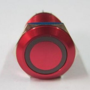 ELEWIND 19MM Anti vandal SPDT Button switch with light push button swith metal red aluminium (PM193F-11ZE/R/12V/A red aluminium)