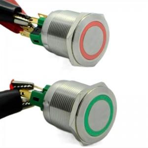 ELEWIND 22mm Two LED color Momentary push button switch(PM221F-11E/R-G/12V/S/3pins for Two led)