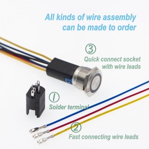 ELEWIND 22mm metal momentary push button switch with connector(PM221F-11E/B/12V/S)