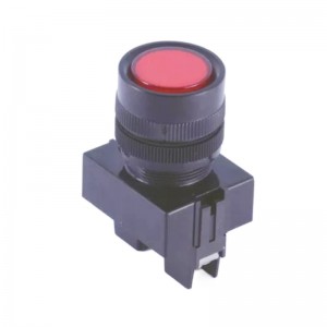 China High Quality Mechanical Push Button Suppliers –  ELEWIND 22mm Screw terminal Red Cap color Flat head Signal lamp ( PB221F-DS/R/12V ) – ELEWIND