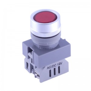 China High Quality Lighting Tower Factory –  ELEWIND 22mm Red Cap color Flat head Screw terminal Signal lamp (PB222F-DS/R/12V) – ELEWIND