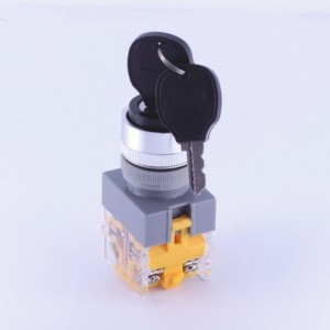 ELEWIND 22mm Plastic Screw terminal 1NO1NC 2 Postition maintain KEY lock switch  BLACK  Cap color ( PB222-11Y/21 )