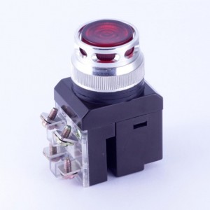 ELEWIND 30mm  Screw terminal  	RED Cap color 1NO1NC Push on momentary button switch WITH LIGHT ( PB228-11D/R/12V )
