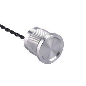 ELEWIND 19MM metal  Stainless steel  or Silver color aluminum anodized  piezo switch  push button switch  (PS193Z10YNT1,Rohs,CE)