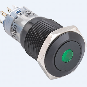 16mm Flat head Dot illuminated Momentary Latching (1NO1NC) push button switch(PM162F-11D/G/12V/A,CE,ROHS)