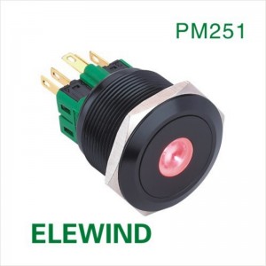ELEWIND 25mm Black alluminum Dot illuminated Latching or Momentary 1NO1NC or 2NO2NC button switch(PM251F-11ZD/R/12V/A)