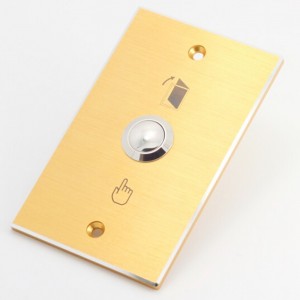 ELEWIND 19mm Door bell push button with rectangular golden panel ( PM191B-10/S )