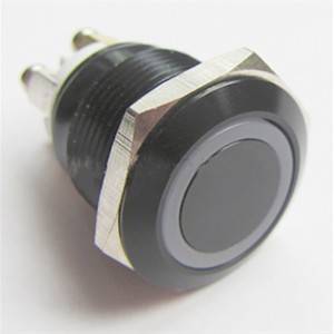 ELEWIND 19mm Black aluminium Screw terminal flat head ring illuminated push button 1NO ( PM191F-10E/R/12V/A )